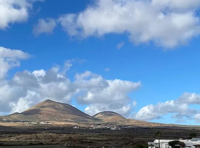 Mimosas Pocillos بويرتو ذيل كارمين